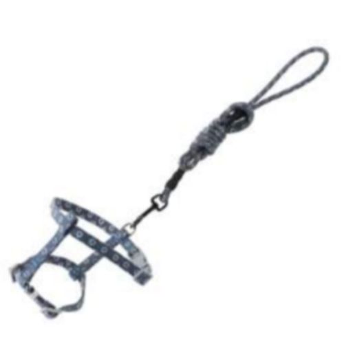 Miniatura 3 de Arnés-Correa Mascota Pequeño Redondo